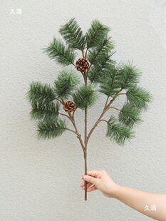 70�ش��Rβ�ɑ����b���̖�������͕�ӭ�������6�~�Sɽ����ֲ�q