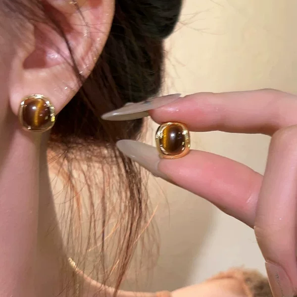 Show Off Your Elegant~ Tiger Eye Stone Earrings for Women 2025 New Popular Maillard Earrings High-End Accessible Luxury Exquisite Earrings