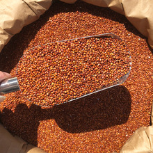 �t޼���� �����S���M�ڴ��w��ȥ���ոɃ���ϴ�tɫ޼�� �F؛���l