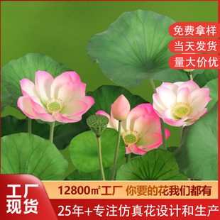 ����ɻ����~�����~���b�ɏ��ɏ���߷���ɻ����ٻ��F؛���l