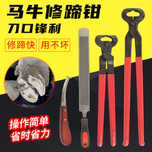 马用修蹄钳牛蹄剪刀兽用修蹄套装大号平口剪蹄钳马房用品修蹄锉刀