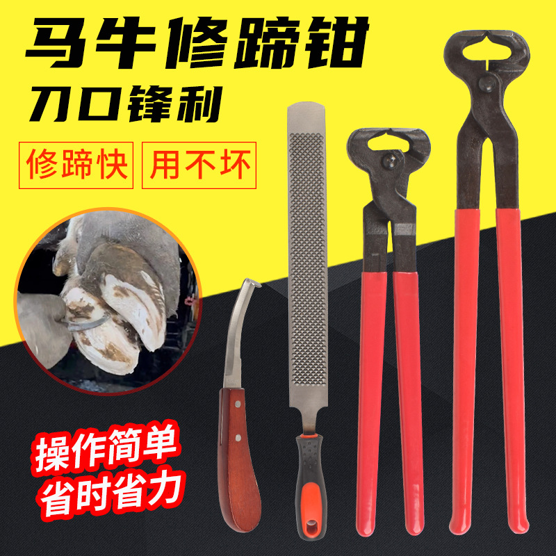 Herradura para caballos, tijeras de casco de buey, conjunto de casco de animales, tijeras de casco de caballo, tijeras de casco de caballo, tijeras de casco de caballo, tijeras de casco de caballo