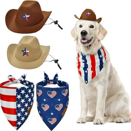 宠物帽子;挂饰挂件;成人帽