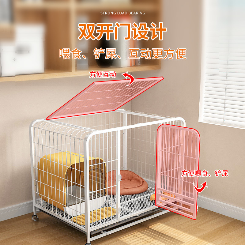 09f40db1-404c-4411-8d5d-ba13c8b64f52.jpe