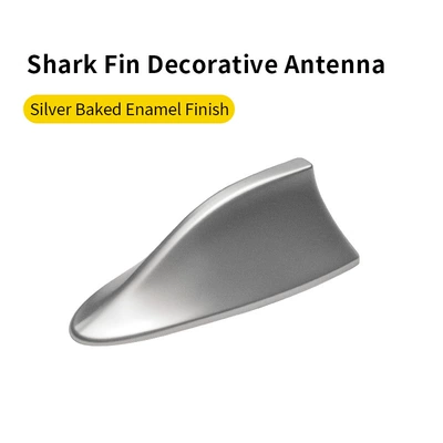 Roof and Rear Wing Modification Accessories — vehicle antenna - silver-spray-paint-uv-box