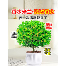 ��ˮ���m���������򻨻��ļ��_�����̨���Bֲ���҃���þGֲ����