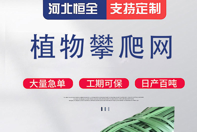 植物攀爬网.png