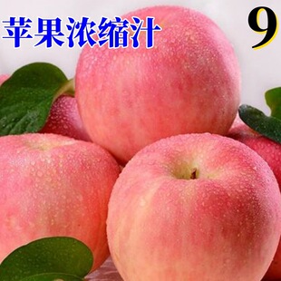 �O����s֭ �O��֭ ��s�O��֭ �O���Lζͻ�� �S���������O��ζ��