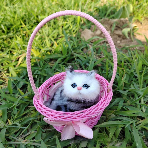 Will be called Meihong Capital Basket Blue Cat