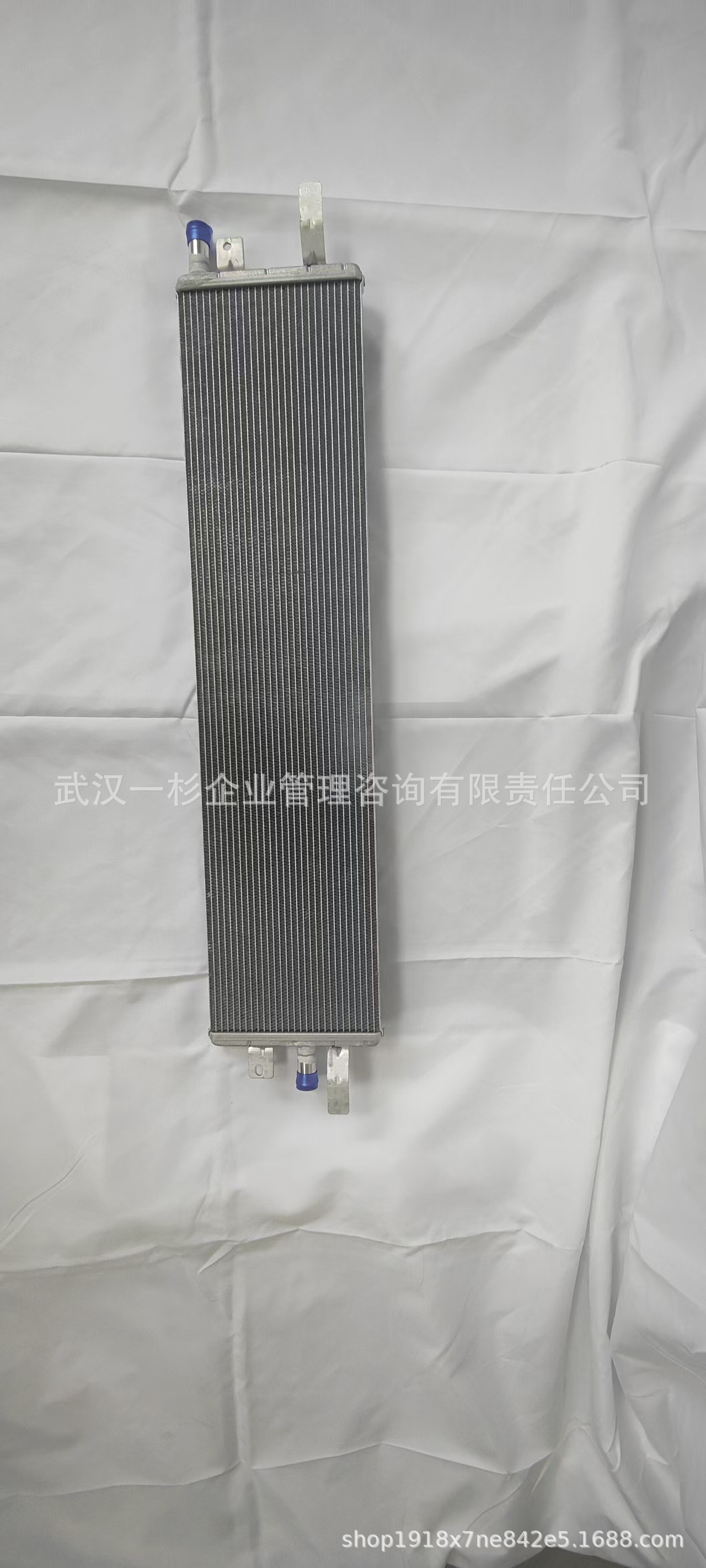 Direct sales from the original manufacturer B100006560 B016691 motor radiator for Yixuan MAX/Haoji