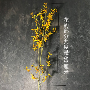 ���滨 ӭ�������� �B�N ���Sɫ���� ����ʽ�ٻ�ܛ�b���ļҾ��b