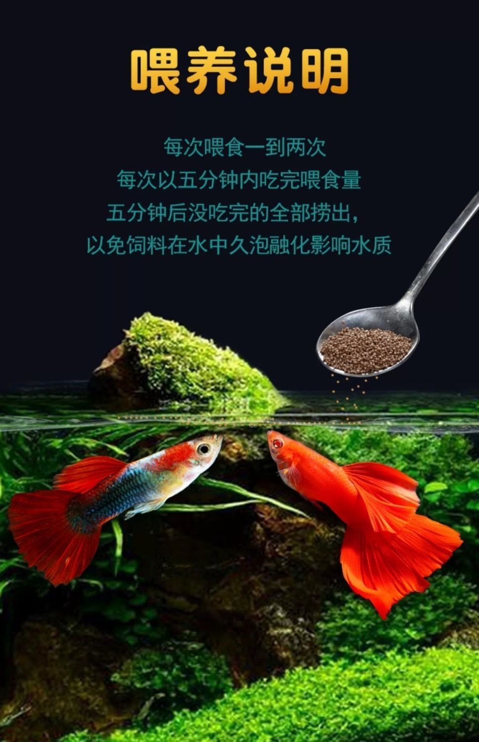 48b9997b-65d0-4785-a7fd-2b938e32ea50.jpe