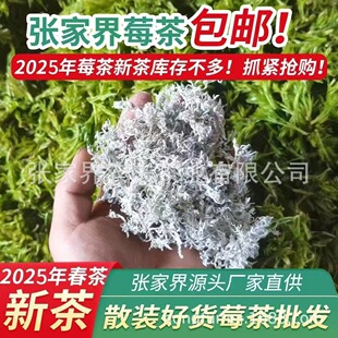 ��2025���²�ݮ�����l�����ҽ��ٲ����ֱ�ɬF؛�����B������