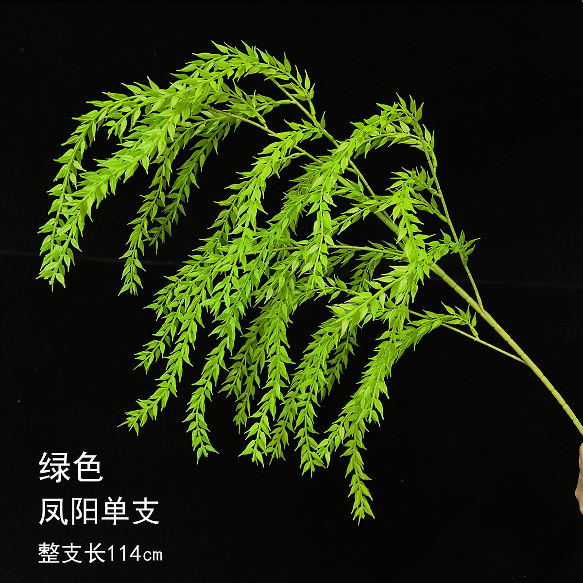 Una sola rama de Fengyang - verde