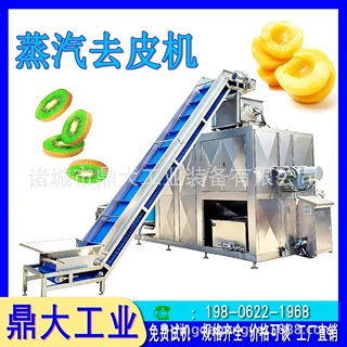 鼎大果蔬加工机械黄桃蒸汽去皮机 提质增效果品商用生产设备