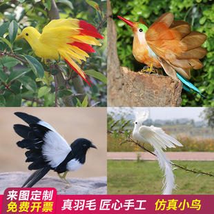 Pu Yi simulation bird wings hummingbird fake bird real feather Oriole crafts props Magpie decorative ornaments