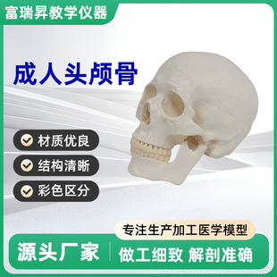 �̌W�^����Ȼ�����^�B��ģ�ͽ��ʽ̌Wģ���t�WԺ�R��ʾ����Ʒ