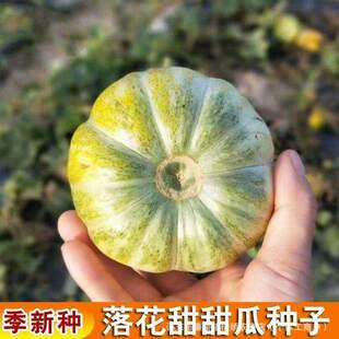 �仨��ϷN���ϝh���߹��N�ӻ�Ƥ�t����ϷN�ѱ�Ƥ�Ƕȸ�����߮a