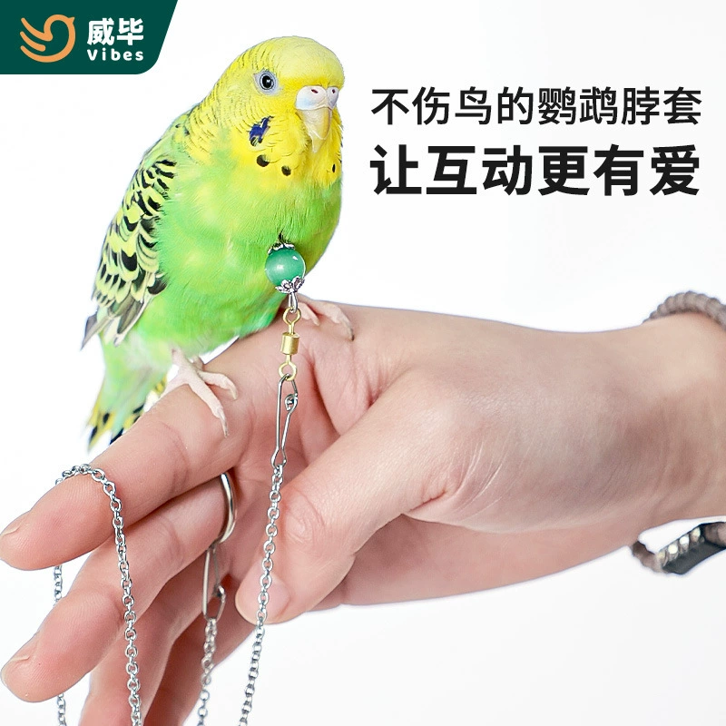 Ошейник для попугая из нержавеющей стали Xuanfeng пион Тигровая кожа стартовый ножной браслет Болт цепь для птиц ходьба птицы птица Летающий тренировочный ошейник цепь