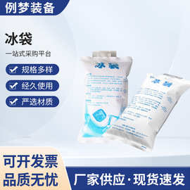 保鲜冷藏快递专用冰袋400ML注水保鲜冷藏食品干冰袋 冰敷生物冰袋