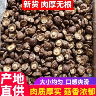 �㹽��؛���������_ɢ�b�㹽�����l���l��������خa��ަ�ľ