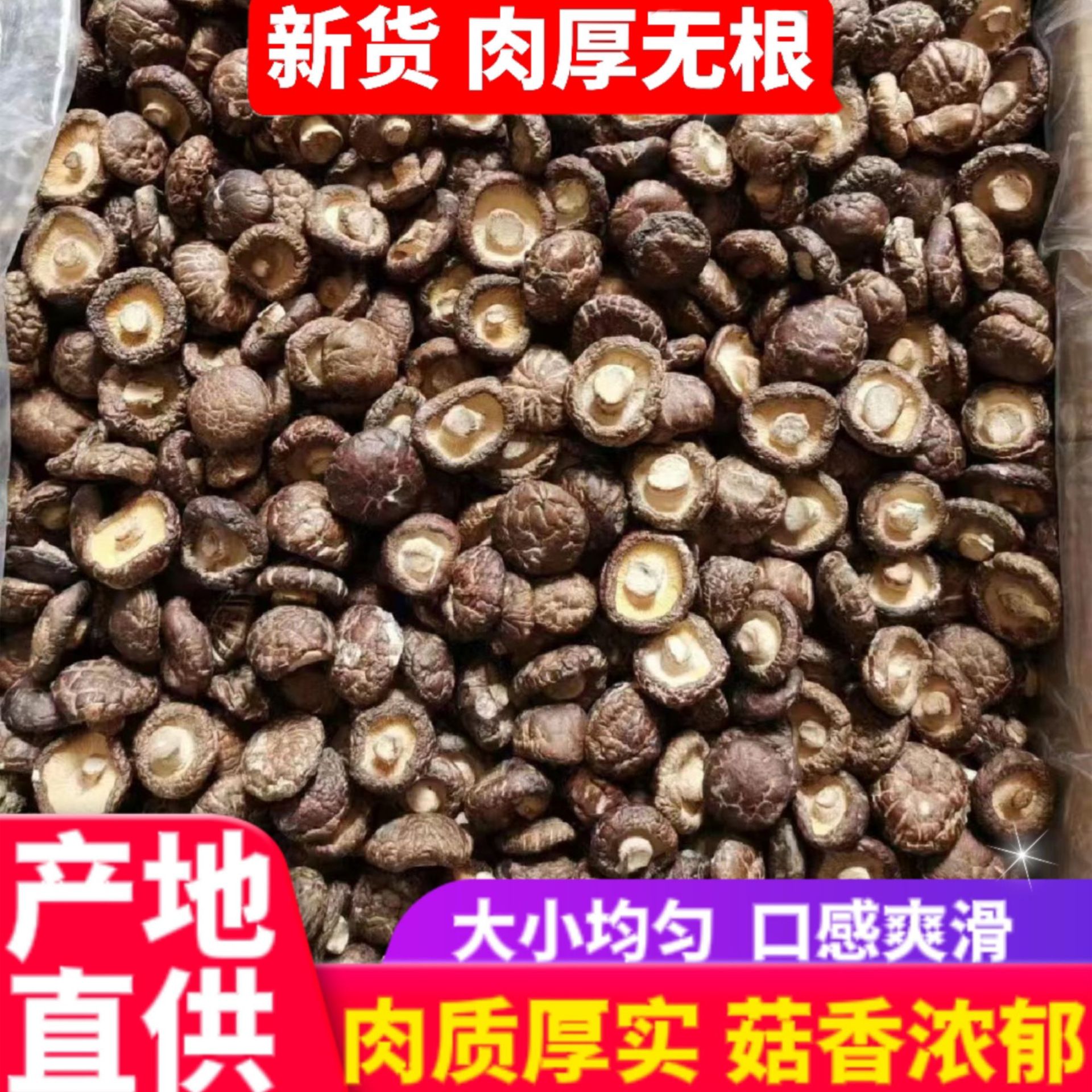 香菇干货产地直发冬厚菇肉厚剪脚散装香菇干批发代发菌菇云南特产