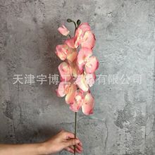 ��֧8�^�����m���滨�Ҿ��b廨��Y·���ٻ��b[������Gֲ