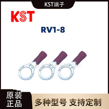 ̨��ԭ�b RV1-8�A��T2���~�A�^���䉺�Ӿ�����O���~����