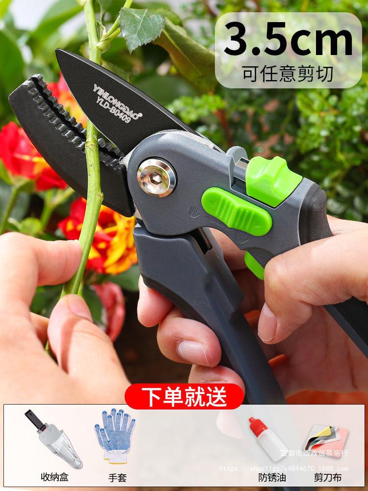 花剪园艺剪刀家用花草盆栽修花园林果树修剪树枝德国剪枝修枝剪