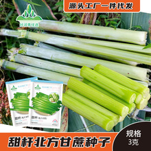 ���l������U�N�ӱ�������������N���������ѷN�ݴ��ļ����Ѳ˷N