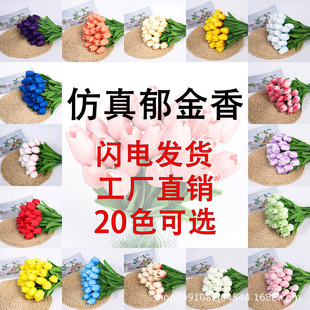 �羳 �ָб���PU������������滨�ٻ��Ҿ��b����Ք[�� ���Sֱ�N