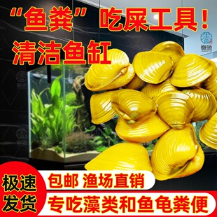 �S��͘��͘Ϫ͘С�Ӱ��S���ݳ��� �坍��ˮ�^�p �~�׳��~�S������