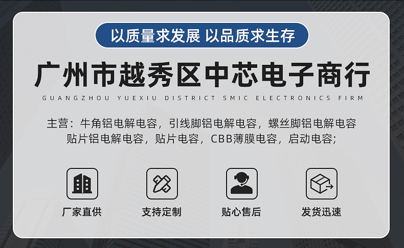 铝电解电容器详情页_02