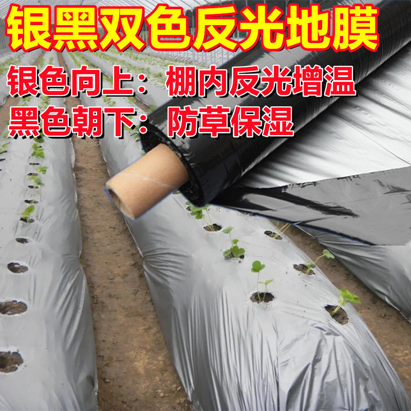 银色地膜种玉米黑白双色种土豆盖草加厚地模辣椒抗老化银灰膜甘蔗