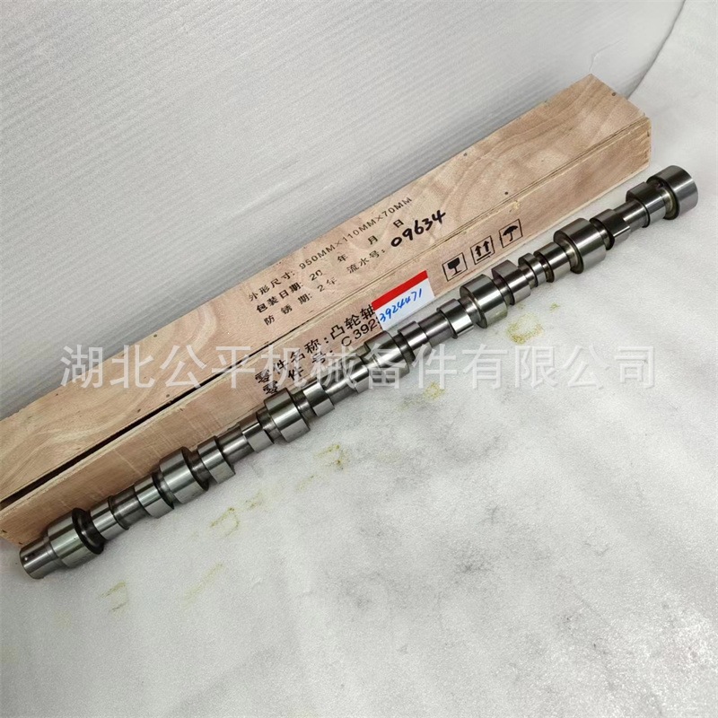 Direct Supply from the Manufacturer, Wholesale and Retail of Construction Machinery Engines Nt855 Camshaft 3042568