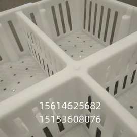 鸡苗筐 鸡苗运输筐 小鸡苗筐 小鸡筐图片 四格运输箱