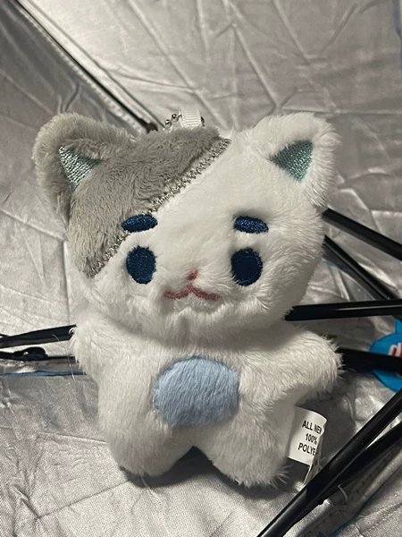 127 Tai Rongbai Cat Key Bin