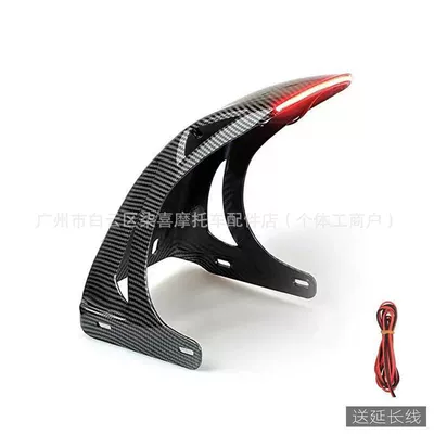 Mudguard — Fork - carbon-fiber-carbon-fiber-front-red-light