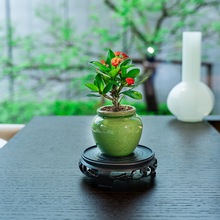 FĻ÷΢СԲ茙Gֲ_ÿԺͨ