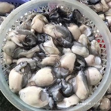 ���Ǻ��rС�����G�����F��ȥ����Ϡ�����rĵϠ����ӟ������