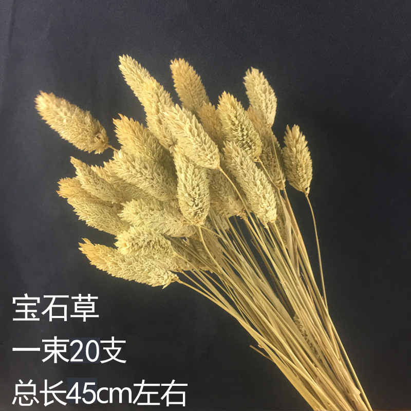 보석풀 20개
