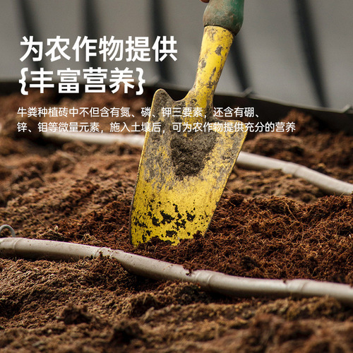 Coir Brick Nutrient Soil Low Salt Coco Fiber Planting Flowers Vegetables General Type Cattle Sheep Manure Fertilizer Peat Soil Gardening