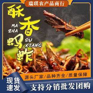 ���̓r�����r��ըΛ�����㼴ʳ��ʳ������ը���x�¾Ʋ˽���x��