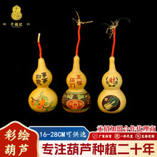 ���L���J���Sֱ�l16-28cm���J�[�����]����Ӯ���Ȼ���J���