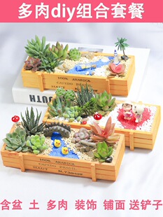 ����ֲ��M�������ײͶ���DIY΢���^���ϰ����躬���҃ȾGֲ���]