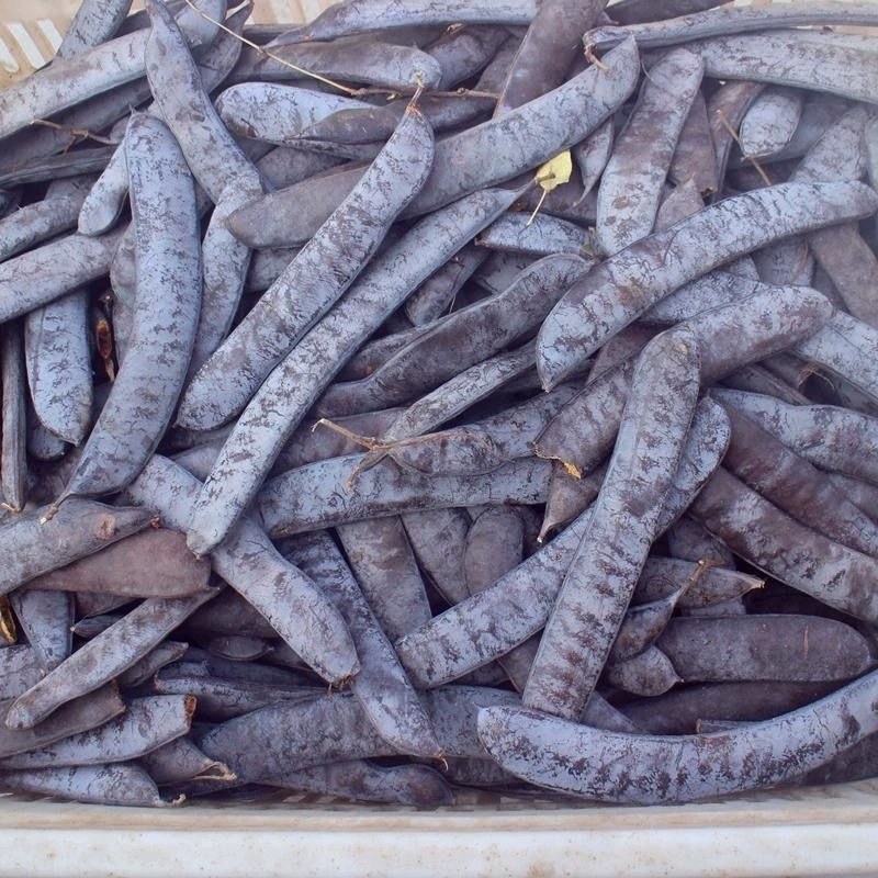 Мыльный угол мыльный угол мыльный угол мыльный угол мыльный угол большой мыльный угол мыльный участок длинный мыльный угол чистый большой источник