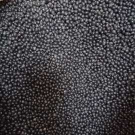 当季新种黄芯圆粒黑豆种子黑豆苗黑豆芽无土栽培芽苗菜种子不包邮