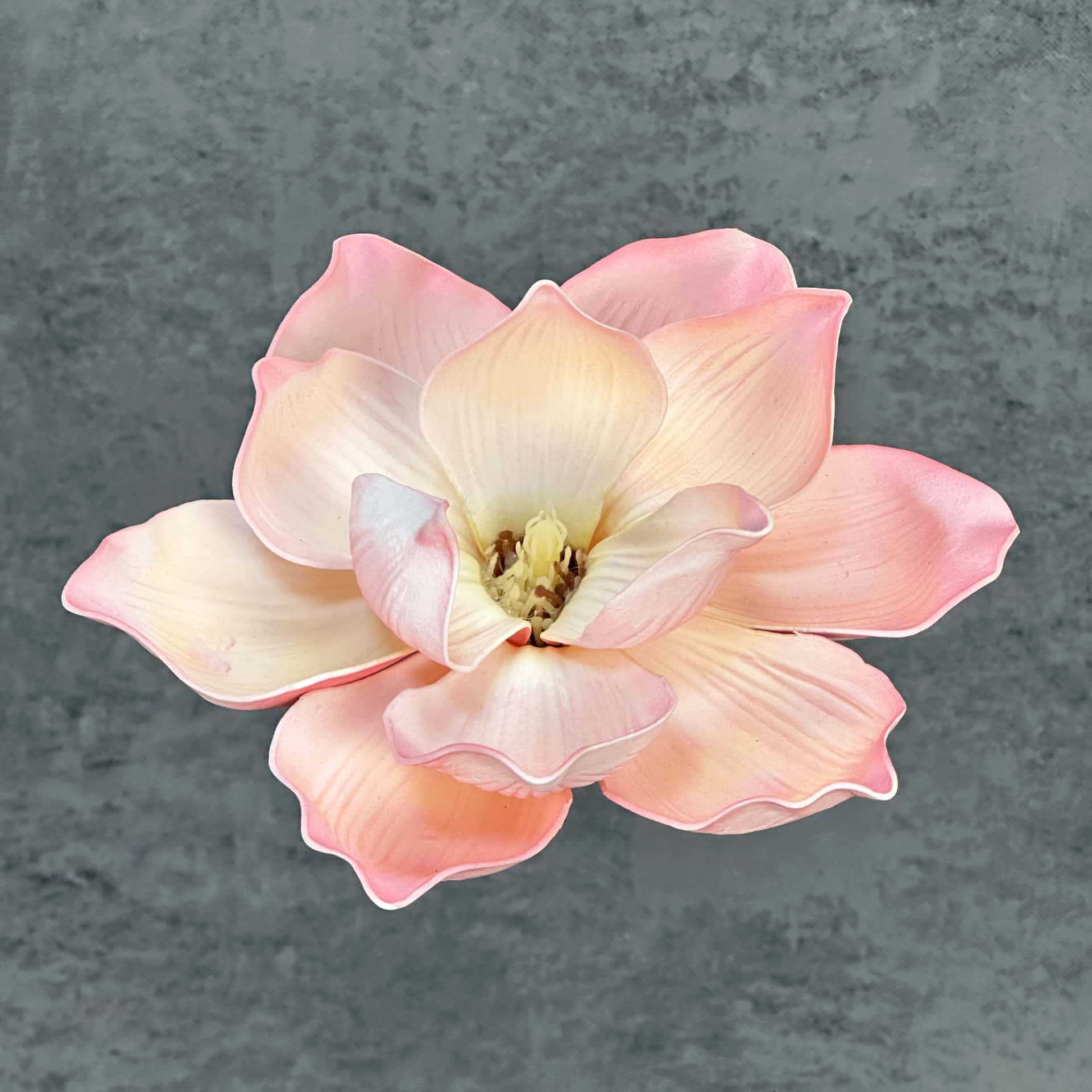 Flor de simulación transfronteriza EVA cabeza de magnolia 13cm tacto tocado kapok decoración decoración decoración flor falsa al por mayor