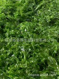 ���S��ֱ�N�� ���������/�ຣ̦/�G��