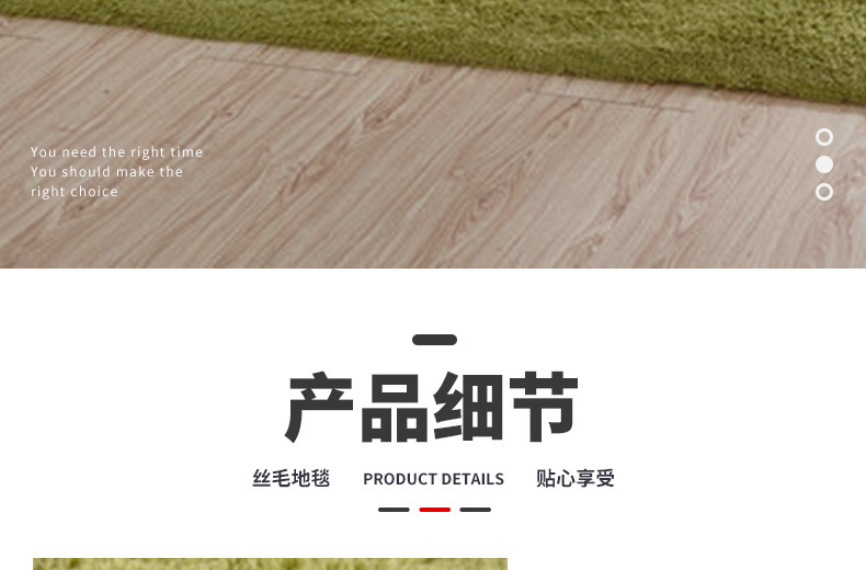 丝毛地毯,客厅地毯,卧室地毯,床边垫,沙发垫,纯色地垫,毛毛地毯,地垫定制